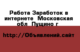 Работа Заработок в интернете. Московская обл.,Пущино г.